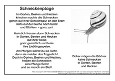Schnecken-Sw.pdf